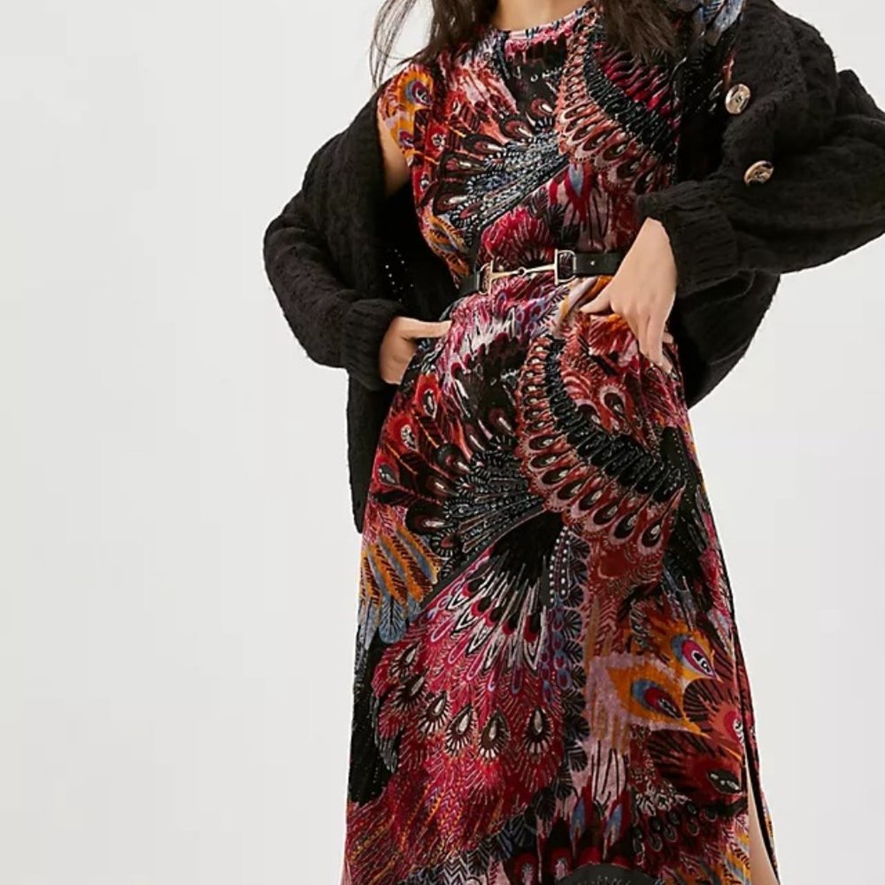 Anthropologie Multicolor Paisley Velvet Maxi Dress